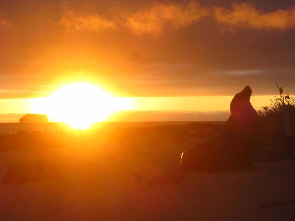 Tramonto alle Galapagos