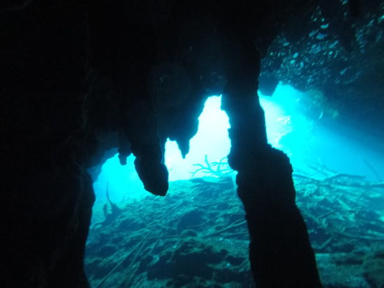Cenote Carwash Tulum