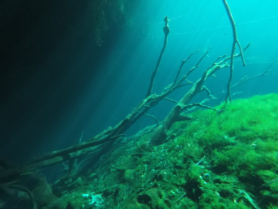 Cenote Carwash Tulum