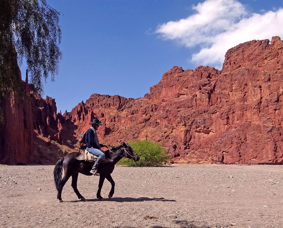 andare a cavallo in Bolivia